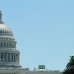 Liberal Conscience AWOL?
