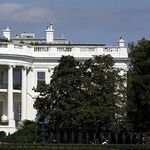 Weeding Out the 2020 Presidential Candidates