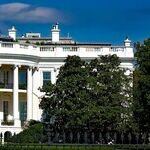 Nobody Knows Who Will Be the 2020 Presidential Nominees