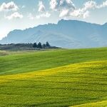South Africa Question