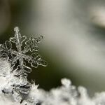 Justice Kavanaugh and GMU Snowflakes