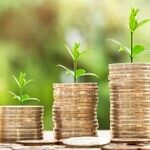 Economics Reality