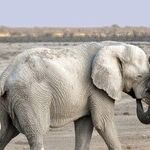 There Is No GOP Civil War