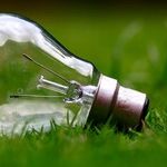 Environmentalism, Pantheism, Statism and Pessimism