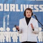 Investigate the Senate Democrat Wrecking Machine