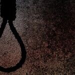 Malkin's Handy History of Fake Noose