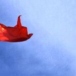 The Commie Colonization of America
