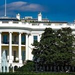 Cabinet Nominees in for Rude Awakening