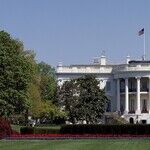 Shut Up and Govern