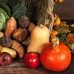 The Meaning of Thanksgiving