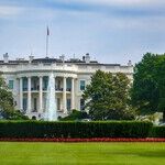 The Art Lovers Trash Trump From Ballrooms to Museums