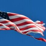 Jim Acosta Whines Trump Is 'Winning' His War on the Press