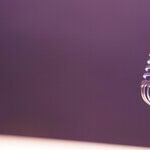 It's Not Shocking That PBS and NPR Are 'Alive and Kicking'