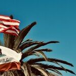 Lesley Stahl Engages in Anti-Journalism on California Voting