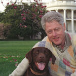 Bill Clinton's Predatory Behavior: Fair Game