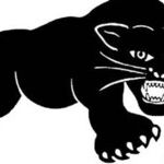 Beyonce and the Black Panthers