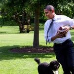 Whitewashing the Black President's Legacy