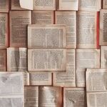 The Furious Fake News of Feminist Novelists