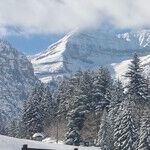 Weinstein Amnesia Rules At Sundance