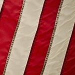 The News Media Versus the Flag-waving Weirdos?