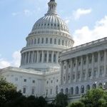 Networks Selectively Cover Select Committees