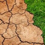 Climate Democracy Dies in Darkness