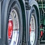 Allergic To The 'So-Called Freedom Convoy'
