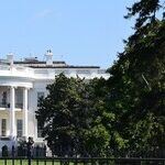 More Screaming in the White House Briefing Room