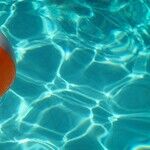 Michelle's 'Hair'-Raising Theory: 'White Folks' Stop Blacks From Learning How To Swim