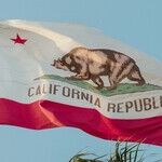 California's Think-Alike Dems Cancel Debate Over 'Lack of Diversity'