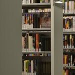 Black-on-Black Racism at Cornell