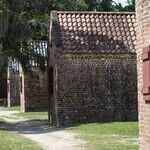 Slavery: What They Didn't Teach in My High School