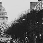 NAACP Shows Its Irrelevance by Recommending Trump's Impeachment