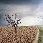Climate Change Forecasts