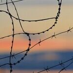 The New Gold Rush -- The American Border