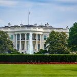The First 100 Days For The Trump-Hating Left