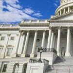 Democrats, Stop Being MAGA's Mommy
