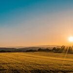 Trump Loves Farmers Into Bankruptcy