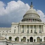 Fight or Flee: A Tale of Two Congresswomen