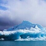 Trump Stops Race to Save the Creation