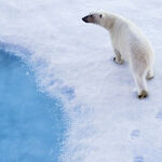 Climate Change Issue Needs a Churchill