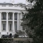 Is Trump Really Running Things?