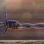 Democrats Need Straight Talk on Immigration