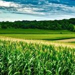 Trump Didn't Lie to Farmers