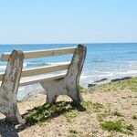 Environmental Malpractice Washes Onto the Beach