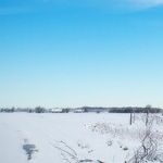 The Self-Destruction of US Farmers