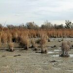 Scant Economic Joy in Mudville