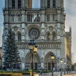 Paris and New York Are United by Urban Horror