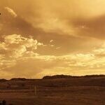Can the Earth Breathe Deeply as Oil Use Crashes?
