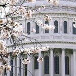 Democrats Should Look at the Only Partly Cloudy Side